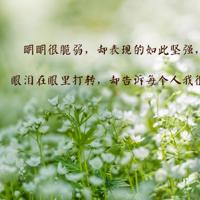 叶灵风的弦声读后感细选