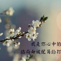 闽南话晚安谐音读后感汇合