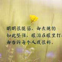 600字的历史读后感摘录