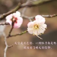 可怕的对称读后感汇总