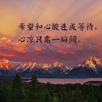 作文钱学森观后感300字细选