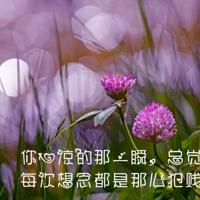 兔爷丢了耳朵的读后感聚集