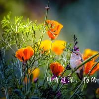 舞蹈风暴流动的盛宴观后感聚集