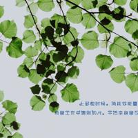 中国河南省博物馆观后感集合