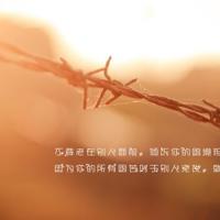 日记驯龙高手2观后感精练