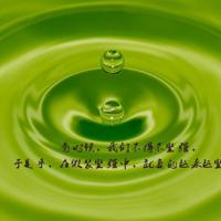 湄公河观后感200字作文整理