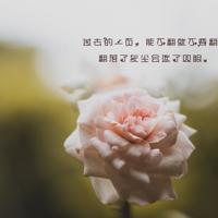 看闪光少女写一篇观后感汇编