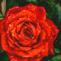 开学第一课直播读后感锦集