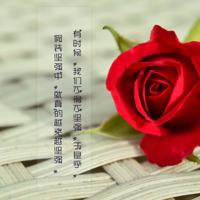 强国梦读后感作文800字细选