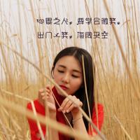 全神贯注读后感四百字汇集