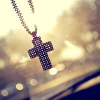 仙境之桥1至4章读后感汇集