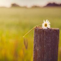 抗击疫情大课观后感精选