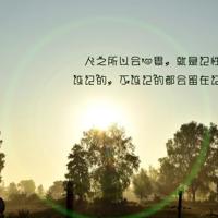 小豆豆的读后感100字摘录