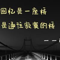 四颗核桃树读后感400字精练