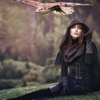 举起手来电影观后感汇总