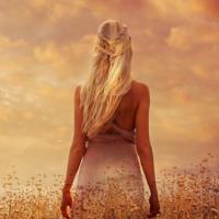 正面管教读后感500汇编