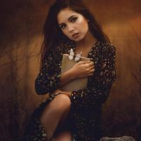 对登岳楼的诗歌读后感汇总