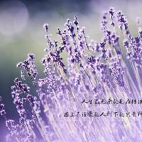 看教师节特别节目观后感汇编