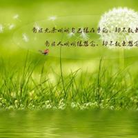 找朋友读后感二年级集合