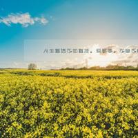 论语十二章初一上册读后感汇编