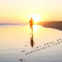 蚂蚁和麦粒读后感收集