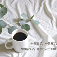 雪怪的脚印绘本故事读后感集锦