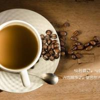 绘本雪人简介读后感锦集