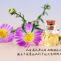 小小飞虎队观后感200字总汇