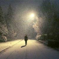 景阳冈观后感一百字聚集