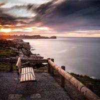 草房子里白雀2读后感汇合