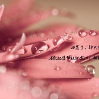 生物书读后感500字左右汇合