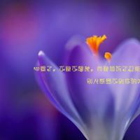 我的乡村记忆读后感600汇总