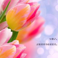 读后感120字左右20篇汇总