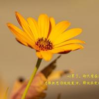 得到多助失道寡助读后感锦集