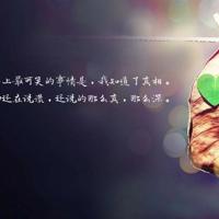 影子电影的读后感集锦