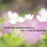 喜欢吃鱼头的人读后感集合