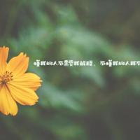 尊严与底线读后感集锦