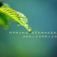 南海风云观后感400字集锦