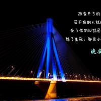 王选第七个选择读后感精选