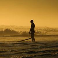 21课搭石读后感200字收集