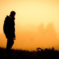 第九区观后感100汇集