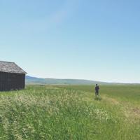 童年读后感100字6聚集