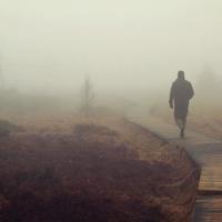 失去的童心读后感汇合