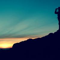 有关汽车的书籍读后感合集