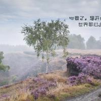 英雄小八路电影观后感汇编