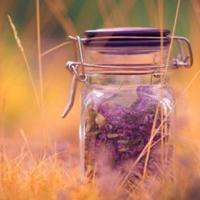 鲁迅淡淡的血痕读后感汇编