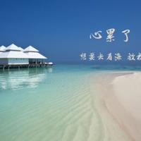 丝路花雨观后感350字汇聚