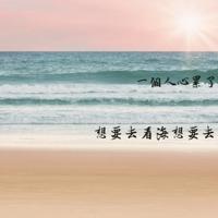 四年级麻雀的故事读后感汇编