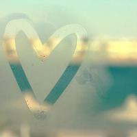 小马王观后感大全500字细选