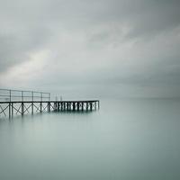 神偷奶爸的电影观后感选录